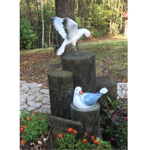 Life-size seagull replicas. You get both the landing and sitting seagull. Large, weatherproof seagulls for outdoor nautical themes.