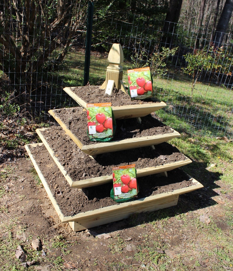 How to build a 4 ft. pyramid strawberry planter. Downloadable plans. Planter filled with dirt, ready for planting.