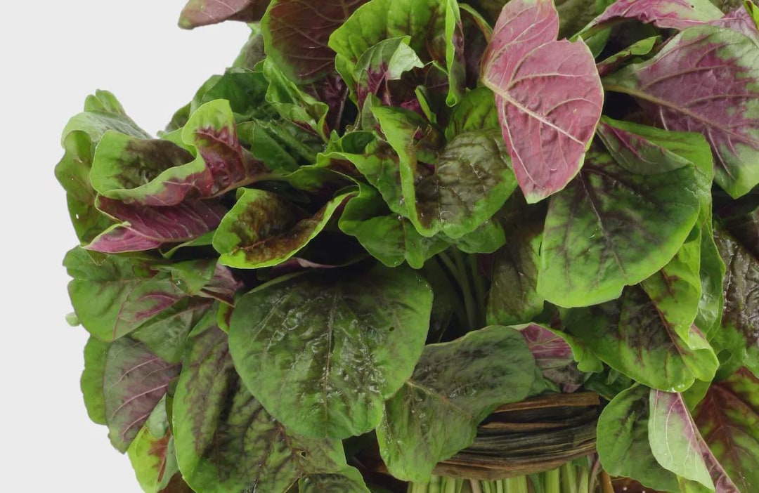 Amaranth Seeds, Organic Seeds, Rau Den Do, Hat Rau Den, Seeds, Purple ...