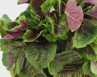 Amaranth Seeds, Organic Seeds, Rau Den Do, Hat Rau Den, Seeds, Purple Amaranth, Huauti, Mexican Grain, Blood Amaranth