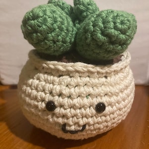 Crochet Customizable Potted Succulent
