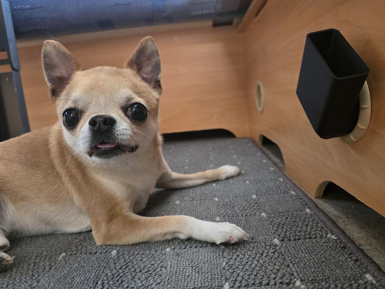May include: A light brown Chihuahua dog with large, dark eyes and a slightly open mouth, lying on a gray textured mat. A black rectangular container is mounted on a wooden surface in the background.