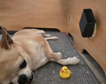 Könnte beinhalten: Ein hellbrauner Chihuahua-Hund liegt auf einer grauen Matte mit einem gelben Quietscheentchen. Der Hund liegt in der Nähe einer Holzkonstruktion mit einem schwarzen, geometrisch geformten Behälter.