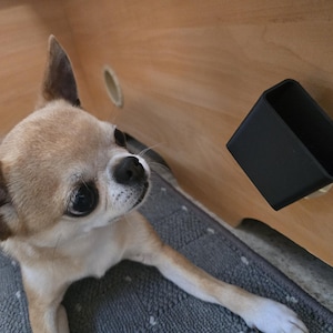 May include: A light brown and white Chihuahua dog looking up, with a black square container in the background. The dog is on a gray surface, and the background is light brown wood.