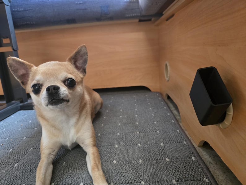 May include: A light brown Chihuahua dog with large, dark eyes is lying on a gray patterned mat. A black rectangular container is mounted on the wooden wall. The dog is looking directly at the camera.