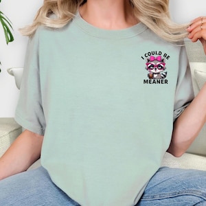 Maglietta Comfort Colors "Potrei essere più cattivo" con il procione, frase sarcastica, maglietta con il meme del procione, maglietta divertente con il procione, maglietta divertente con il panda spazzatura, maglietta amante dei procioni