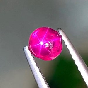 Könnte beinhalten: Ein leuchtender, runder Sternrubin im Cabochon-Schliff mit einem tiefen Magenta-Pink-Farbton. Der Edelstein zeigt einen deutlichen sechsstrahligen Sterneffekt auf seiner polierten, gewölbten Oberfläche und wird von einer Metallpinzette gehalten.