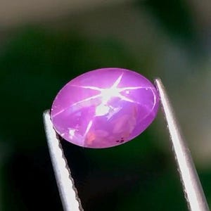 Könnte beinhalten: Ein ovaler, leuchtend rosa Sternsaphir-Edelstein mit einem ausgeprägten sechsstrahligen Sternmuster auf seiner glatten, polierten Oberfläche. Der Edelstein wird von einer silberfarbenen Metallpinzette gehalten und zeigt seine durchscheinende Farbe.