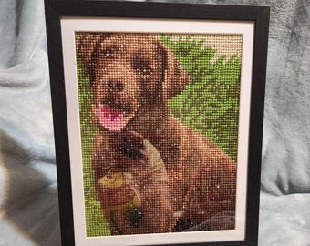 Afgewerkte/ingelijste diamanten stippen – labrador