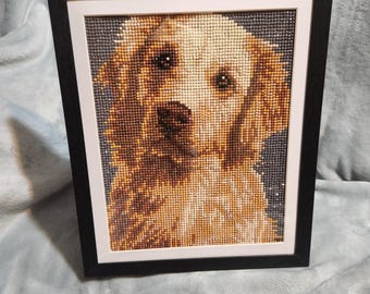 Afgewerkte/ingelijste diamanten stippen – Golden Retriever-hond