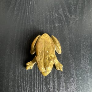 Pode incluir: Estatueta detalhada de rã dourada. A rã está em posição de repouso, com as pernas estendidas. A estatueta tem uma superfície texturizada e o design geral é realista. A rã é feita de metal.