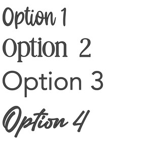 May include: A graphic display of four text lines in dark gray against a white background. The text reads Option 1 in a cursive script, Option 2 in a serif font, Option 3 in a sans-serif font, and Option 4 in a bold, slanted cursive script style.