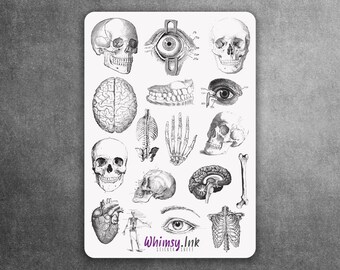 Macabre overlays doorzichtig vinyl stickervel | Geweldig voor planners, journaling, scrapbooking, bullet journals, enz