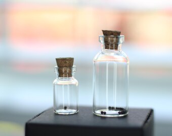 Mustard Seed Trinket: Empowerment Gift