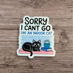 以下が含まれることがあります： ピンクの棚に黒猫、多肉植物、本が描かれたダイカットステッカー。「SORRY I CAN'T GO IM AN INDOOR CAT」の文字が白と黒で、背景は水色です。
