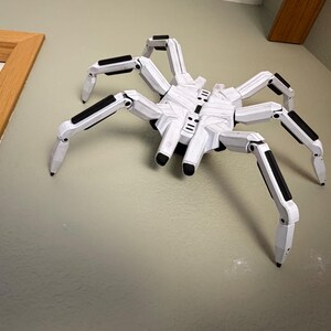 May include: A white and black articulated spider model with multiple legs. The spider is made of white material with black accents on the legs and body. The spider is positioned on a light gray wall.