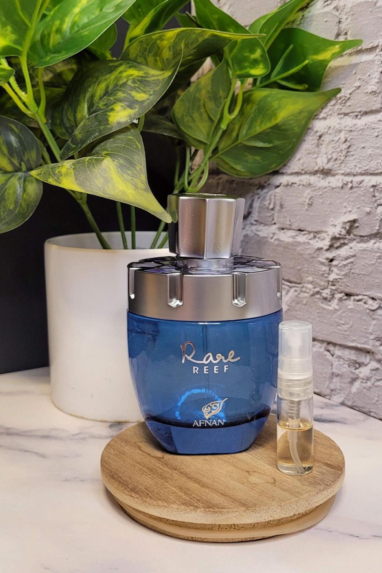 Rare Reef Afnan 2ml Decant | Sample | Travel | Tester