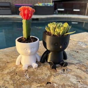 May include: Two small, 3D printed planters shaped like people, one white and one black, with succulents growing inside. The white planter has a red cactus with a pink flower growing inside. The black planter has a green succulent growing inside.
