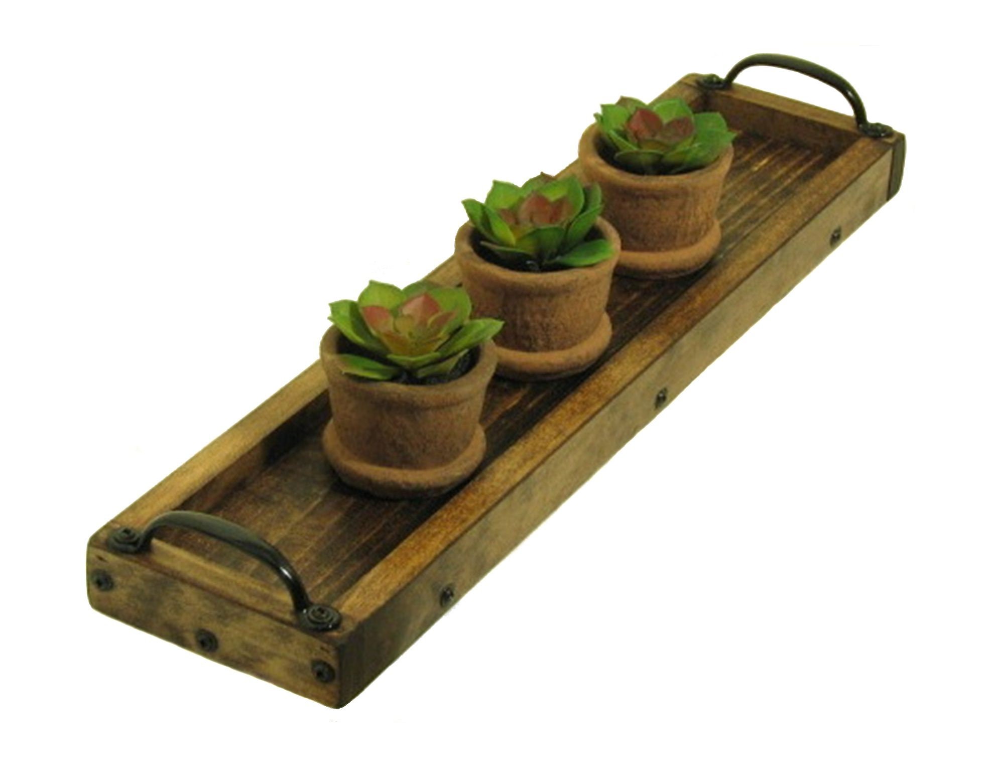 Succulent Plant Tray Herb Plant Tray Long Narrow Tray Etsy