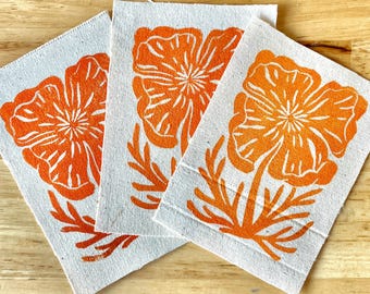 California Poppy Patch