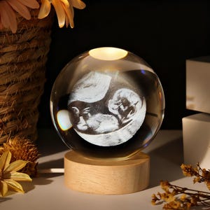 Op de afbeelding: Een heldere kristallen bol met een 3D-beeld van een baby erin, rustend op een houten voet. De bol wordt van binnenuit verlicht, waardoor een zachte gloed ontstaat. De voet is lichtbruin.