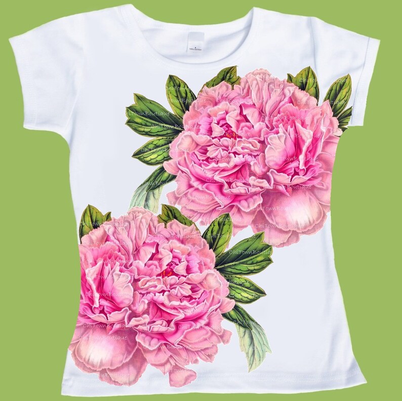 pink poplin oversized shirt