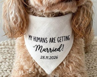 Engaged Dog Bandana, Linen Proposal Gift, Minimalist Wedding Photoshoot Accessory