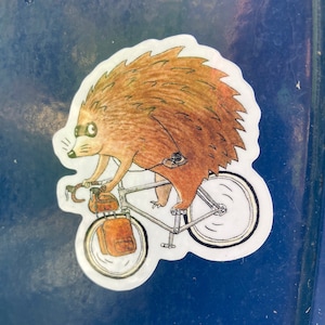 May include: A cartoon illustration of a hedgehog riding a bicycle with a brown backpack and a camera attached to the handlebars. The hedgehog is wearing a black eye mask.