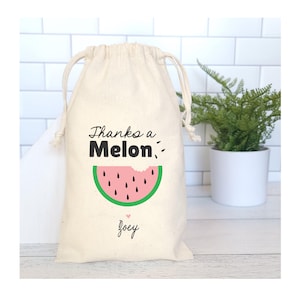 Watermelon Party Favor Bags, Thanks A Melon Bags, Summer Party Theme Favors, Picnic Party Bags, BBQ Favor Bags, One In A Melon Favor Bags
