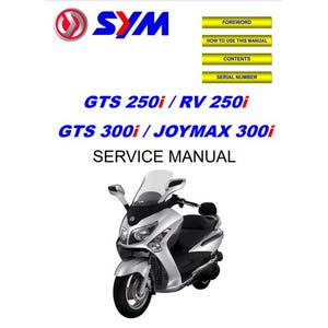SYM 250i / 300i ワークショップ サービス マニュアル – 完全なメンテナンス | PDF