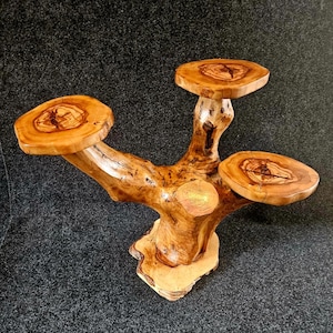Peut inclure: Une souche d'arbre en bois avec trois étagères rondes. Les étagères sont en bois naturel de couleur brun clair avec un motif de grain de bois naturel. La souche d'arbre est de couleur brun foncé et a une texture naturelle rugueuse.