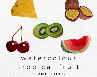 Akvarell tropisk frukt PNG, frukt Clipart, akvarell frukt Clip Art, fruktdesign, digital nedladdning