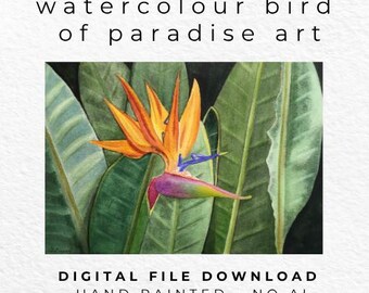 Hand Painted Bird of Paradise Watercolour Print, Tropical Botanical Wall Art (Digital Download)