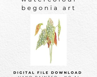 Polka Dot Begonia Watercolour Print – Botanical Houseplant Wall Art – Tropical Leaf Printable – Modern Plant Decor – Digital Download