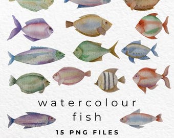 Watercolor Fish PNG, Fish Clipart, Watercolour Fish Clip Art, Fish Design, Digital Download