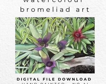 Hand Painted Bromeliad Watercolour Print, Tropical Greenery Wall Art (Digital Download)