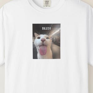 Bleh Funny Cat Meme T-shirt, Gift for Woman, Dank Memes Tee Shirt, Inappropriate Shirts, Silly Cats Tees, Unhinged T-shirt, funny tshirt