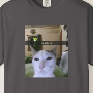 Sup baby girl Funny Cat Meme T-shirt, Gift for Woman, Dank Memes Tee Shirt, Inappropriate Shirts, Silly Cats Tees, Unhinged T-shirt, funny
