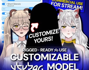 Customizable Live2D Vtuber Model Premade Fully Rigged Vtuber Asset