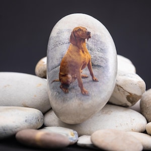 Ręcznie wykonany kamień pamiątkowy ze zdjęciem zwierzaka – ekspozycja pamiątkowa z poduszką (w pudełku prezentowym)