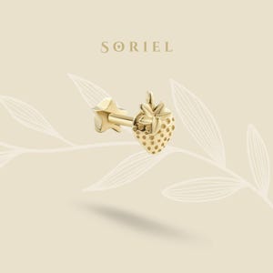 14K massief gouden aardbei platte achterkant oorbellen fruit piercing tragus kwab bes oorbellen oorstekers helix kraakbeen echte kleine sieraden