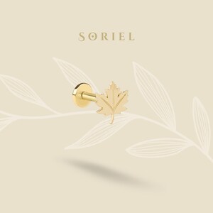 May include: A gold-toned flat back stud earring featuring a maple leaf design. The jewelry piece has a smooth, polished finish and a post extending from the center of the leaf. The word SORIEL is printed in dark lettering above the earring.