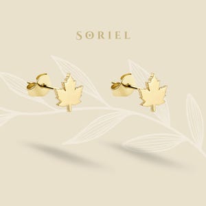 14K Gold Leaf Earrings Minimal Earring Studs Silver Lobe Canadian Maple