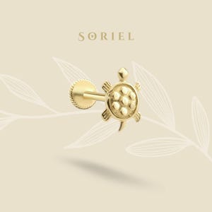 May include: Gold turtle body jewelry with a textured shell design. The jewelry is a stud with a post and a back.