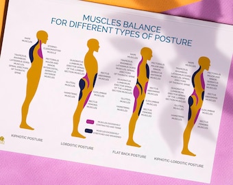Tabella anatomica dei tipi di postura per l'equilibrio muscolare (download digitale)