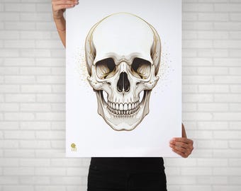 Skull Anatomy Print | Gold Line Art, Medical Illustration (Digital Download)