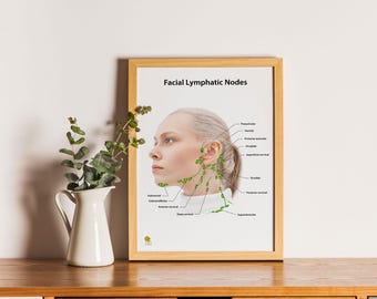 Lymphatic Face Nodes Poster – Facial Drainage Chart, Skincare Art (Digital Download)