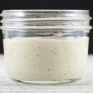 Live Sourdough Starter - San Francisco Sourdough - 12 Year Old Starter!