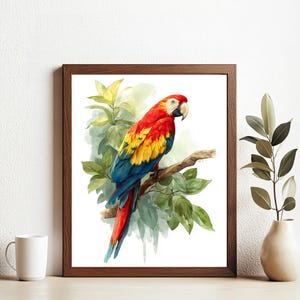 Colorful Parrot Wall Art Printable | Tropical Jungle Bird Digital Download | Boho Animal Poster | Macaw Illustration for Nursery Decor