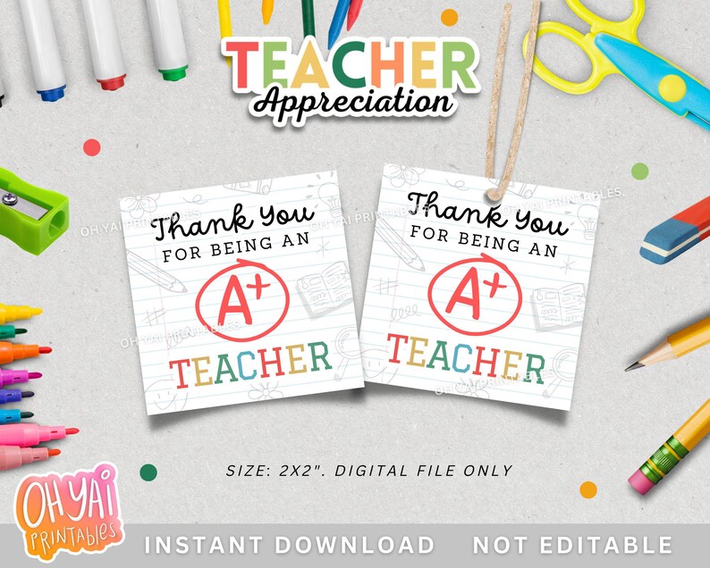 Teacher Appreciation Tag, Printable Teacher Appreciation Tag, Thank You ...